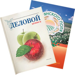 изготовление журналов в Брянске